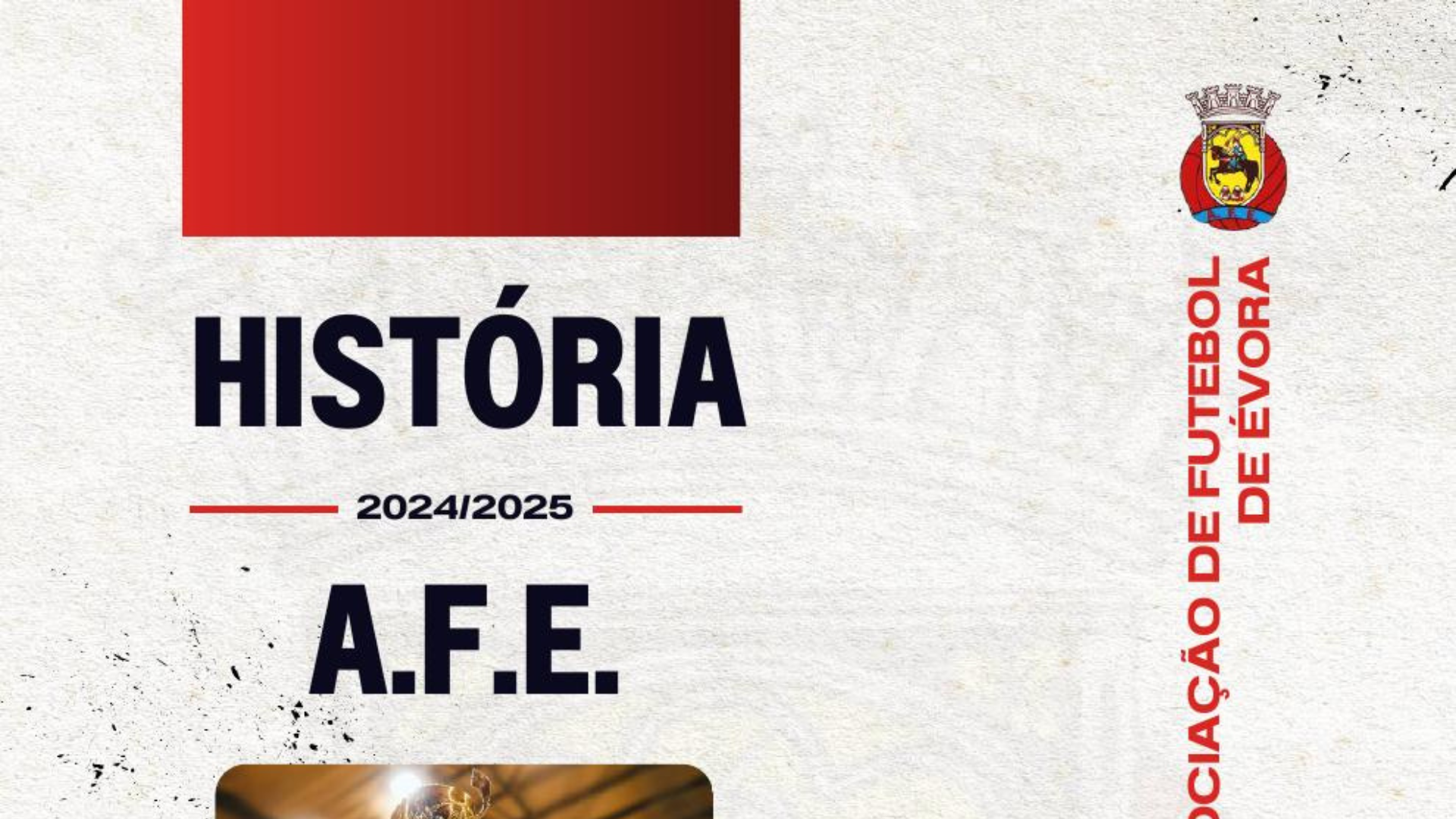 HISTÓRIA AFE